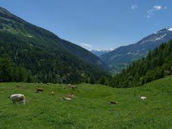 Clic pour agrandir l'image (1024x768 pixels; 119 KB)