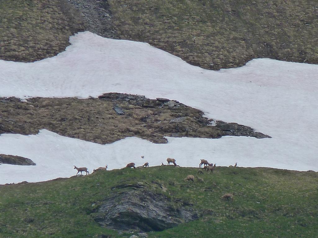 Clic pour l'image suivante