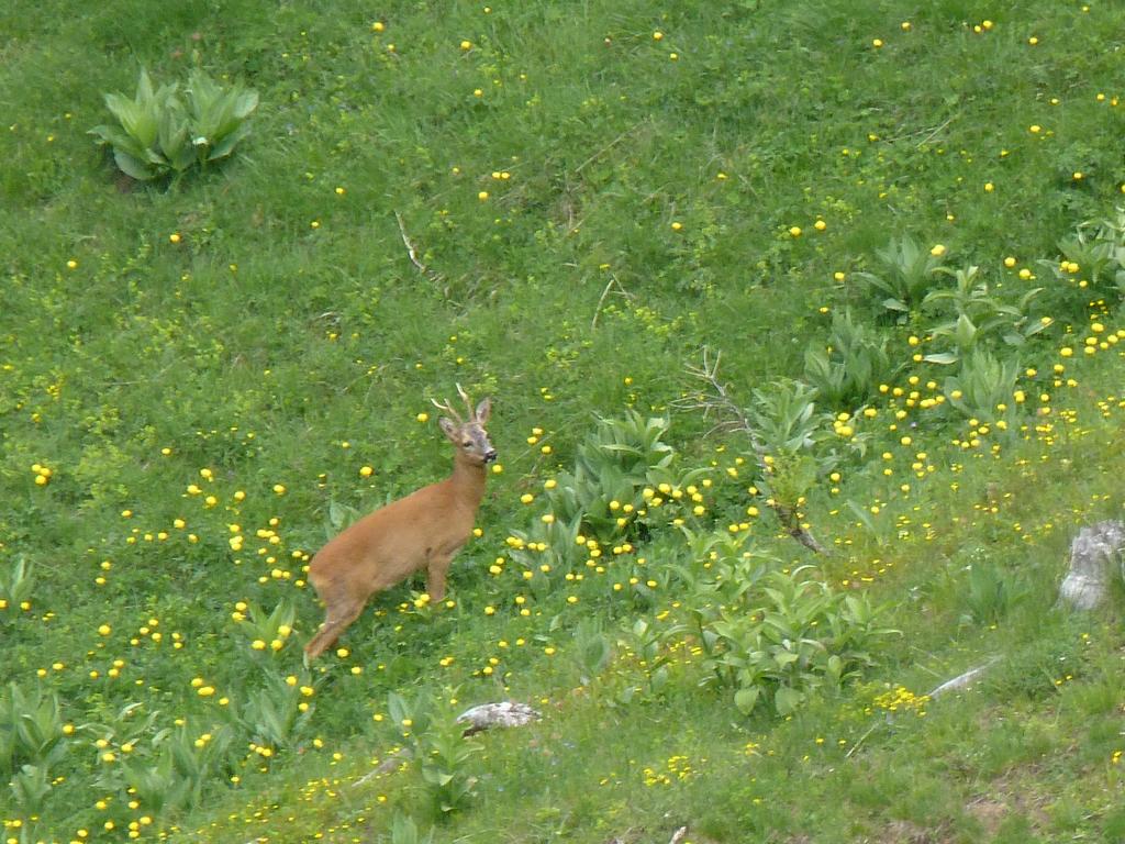 Clic pour l'image suivante