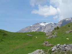 Clic pour agrandir l'image (1024x768 pixels; 108 KB)