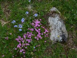 Clic pour agrandir l'image (1024x768 pixels; 229 KB)