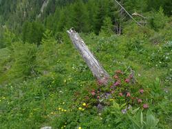 Clic pour agrandir l'image (1024x768 pixels; 221 KB)