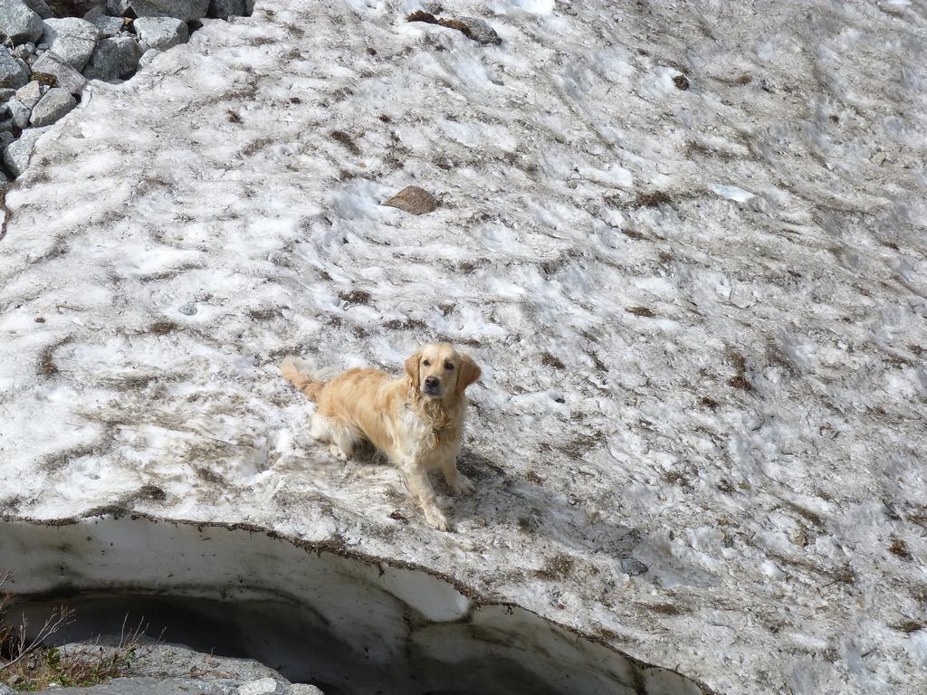 Clic pour l'image suivante