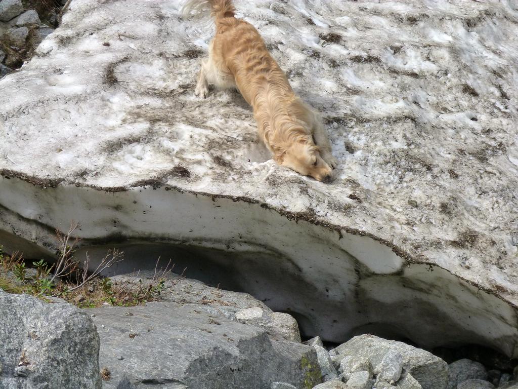 Clic pour l'image suivante