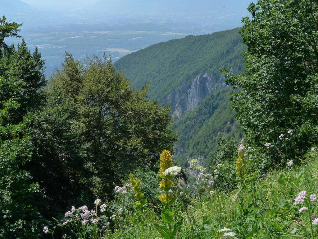 Clic pour l'image suivante