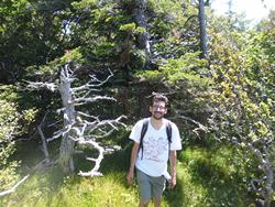 Clic pour agrandir l'image (1024x768 pixels; 354 KB)