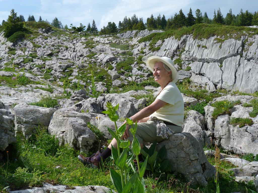 Clic pour l'image suivante