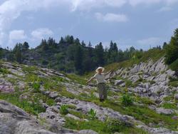 Clic pour agrandir l'image (1024x768 pixels; 145 KB)