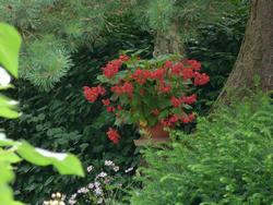 Clic pour agrandir l'image (1024x768 pixels; 162 KB)