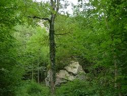 Clic pour agrandir l'image (1024x768 pixels; 231 KB)