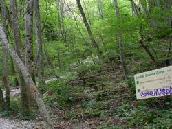 Clic pour agrandir l'image (1024x768 pixels; 236 KB)