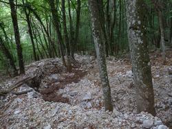 Clic pour agrandir l'image (1024x768 pixels; 234 KB)