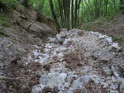 Clic pour agrandir l'image (1024x768 pixels; 248 KB)