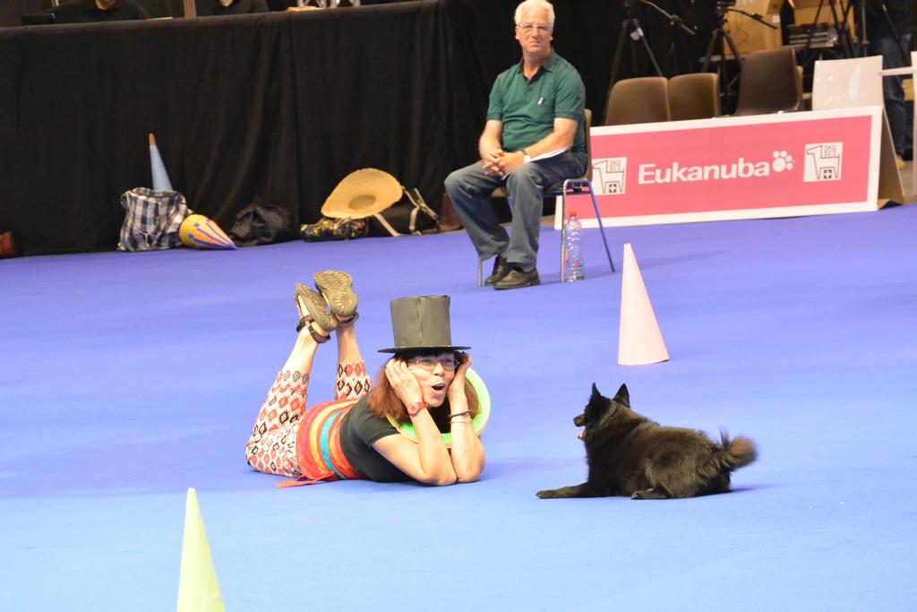 Clic pour l'image suivante