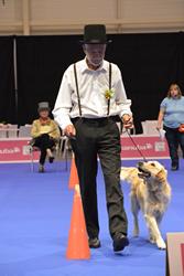 Clic pour agrandir l'image (512x768 pixels; 49 KB)