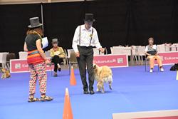 Clic pour agrandir l'image (1024x683 pixels; 81 KB)