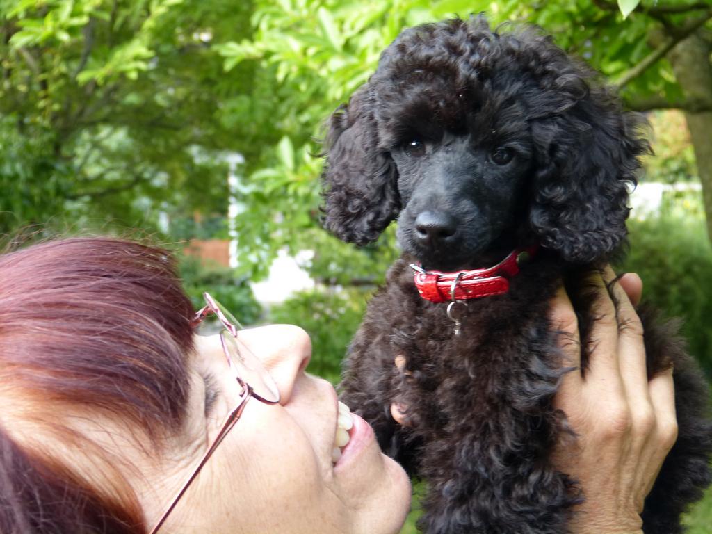 Clic pour l'image suivante