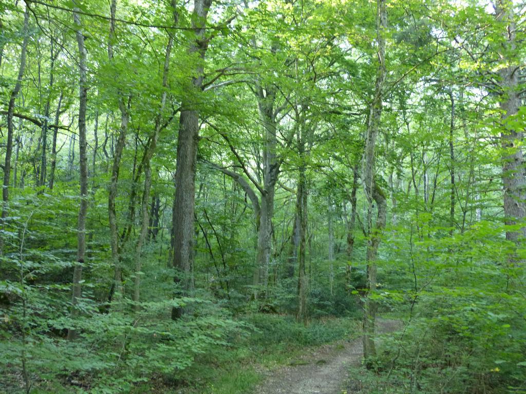 Clic pour l'image suivante