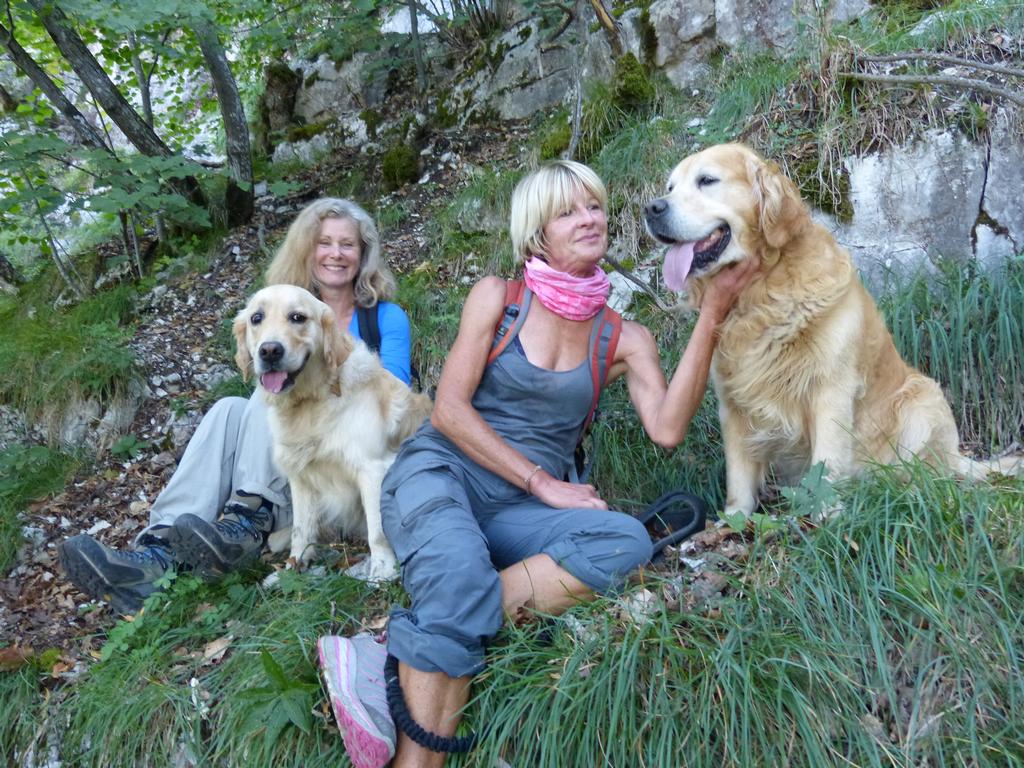 Clic pour l'image suivante