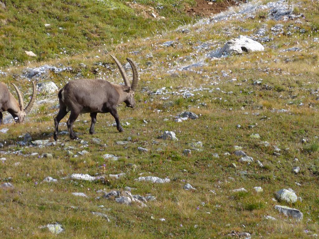 Clic pour l'image suivante