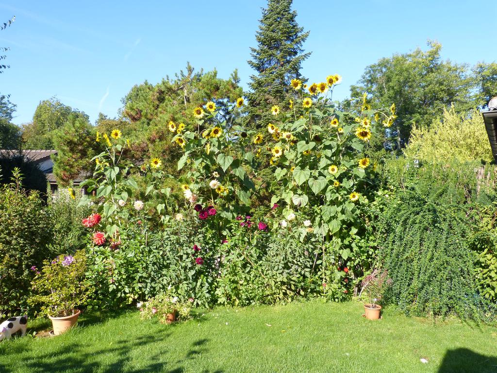 Clic pour l'image suivante