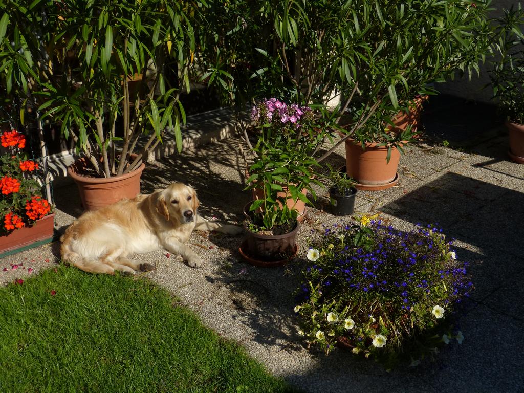 Clic pour l'image suivante