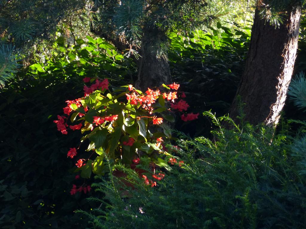 Clic pour l'image suivante