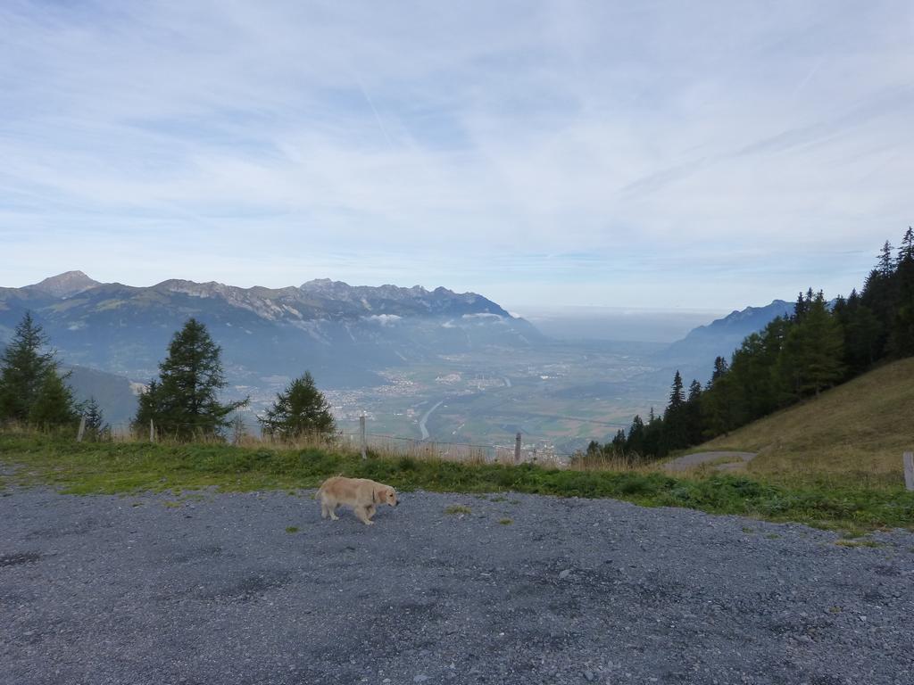 Clic pour l'image suivante