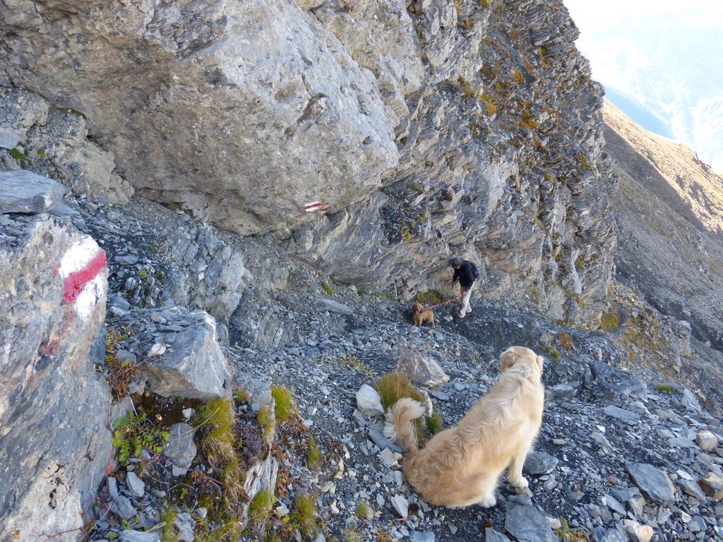 Clic pour l'image suivante