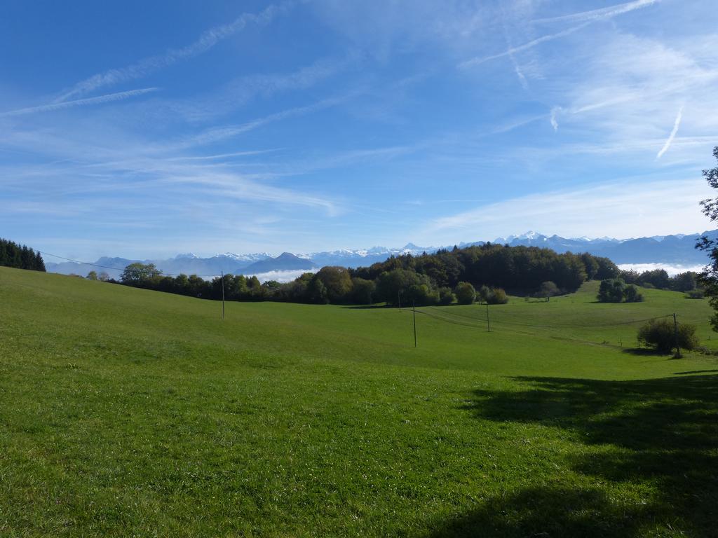 Clic pour l'image suivante