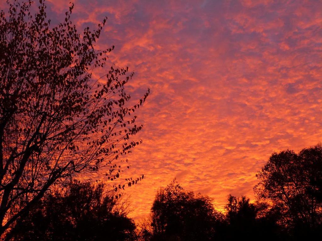 Clic pour l'image suivante