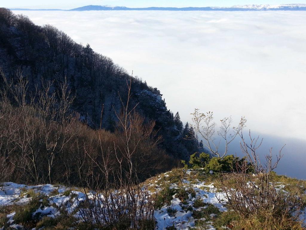 Clic pour l'image suivante