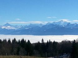 Clic pour agrandir l'image (1024x768 pixels; 74 KB)