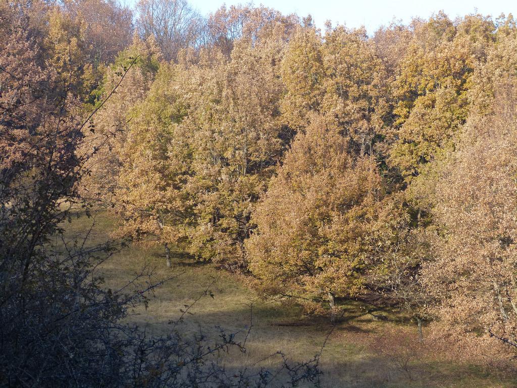 Clic pour l'image suivante