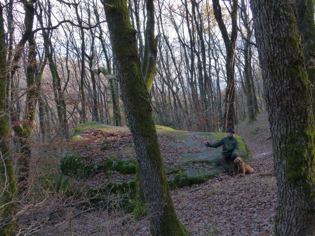 Clic pour l'image suivante