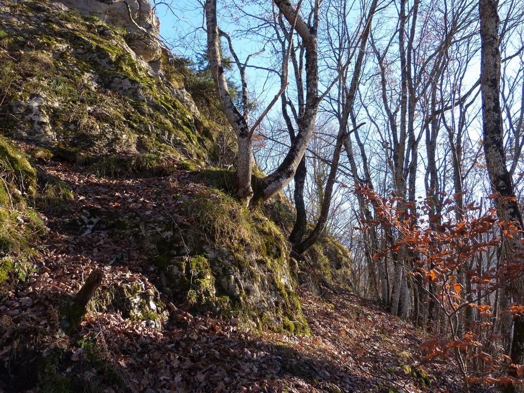 Clic pour l'image suivante