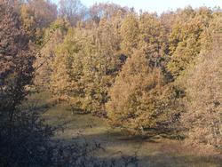 Clic pour agrandir l'image (1024x768 pixels; 254 KB)