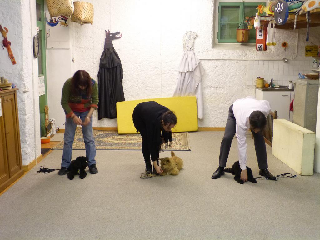 Clic pour l'image suivante