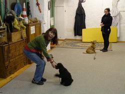 Clic pour agrandir l'image (1024x768 pixels; 105 KB)