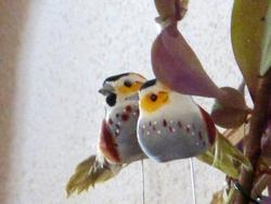 Clic pour agrandir l'image (1024x768 pixels; 114 KB)