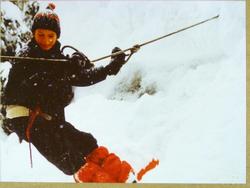 Clic pour agrandir l'image (1024x768 pixels; 64 KB)