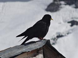 Clic pour agrandir l'image (1024x768 pixels; 52 KB)