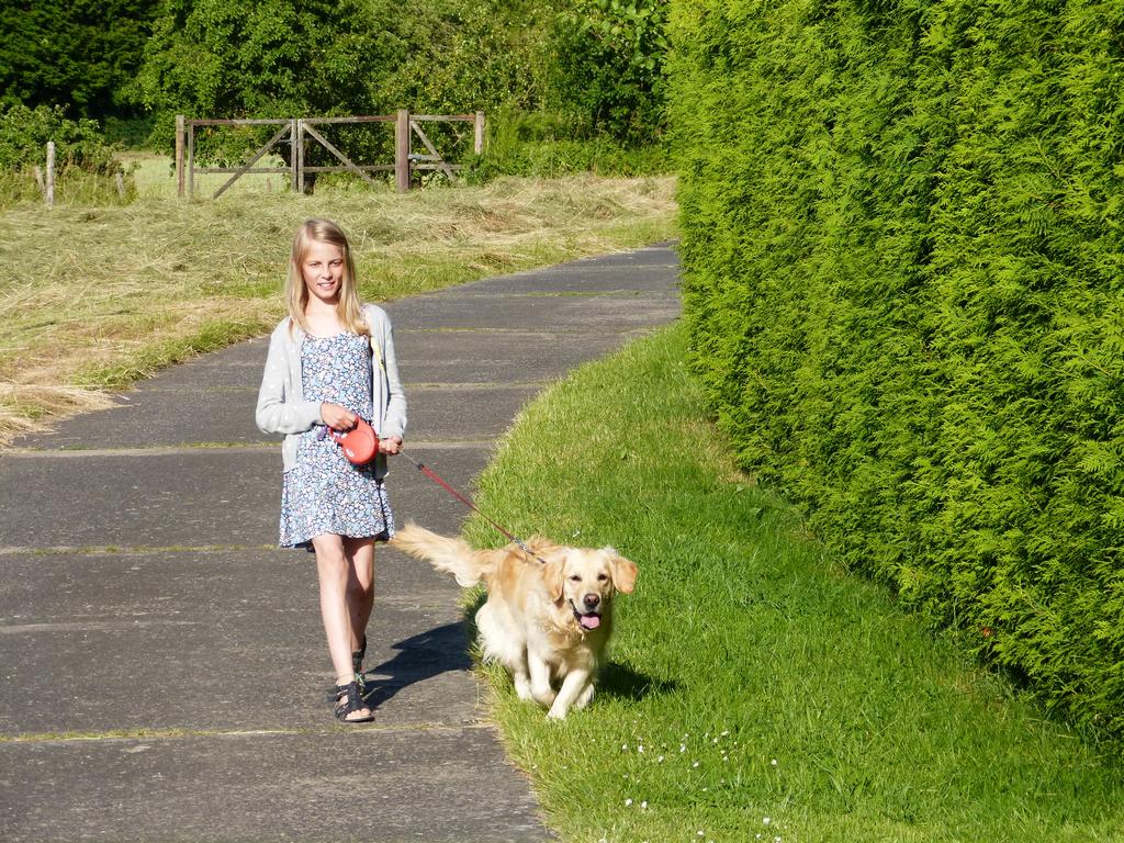 Clic pour l'image suivante