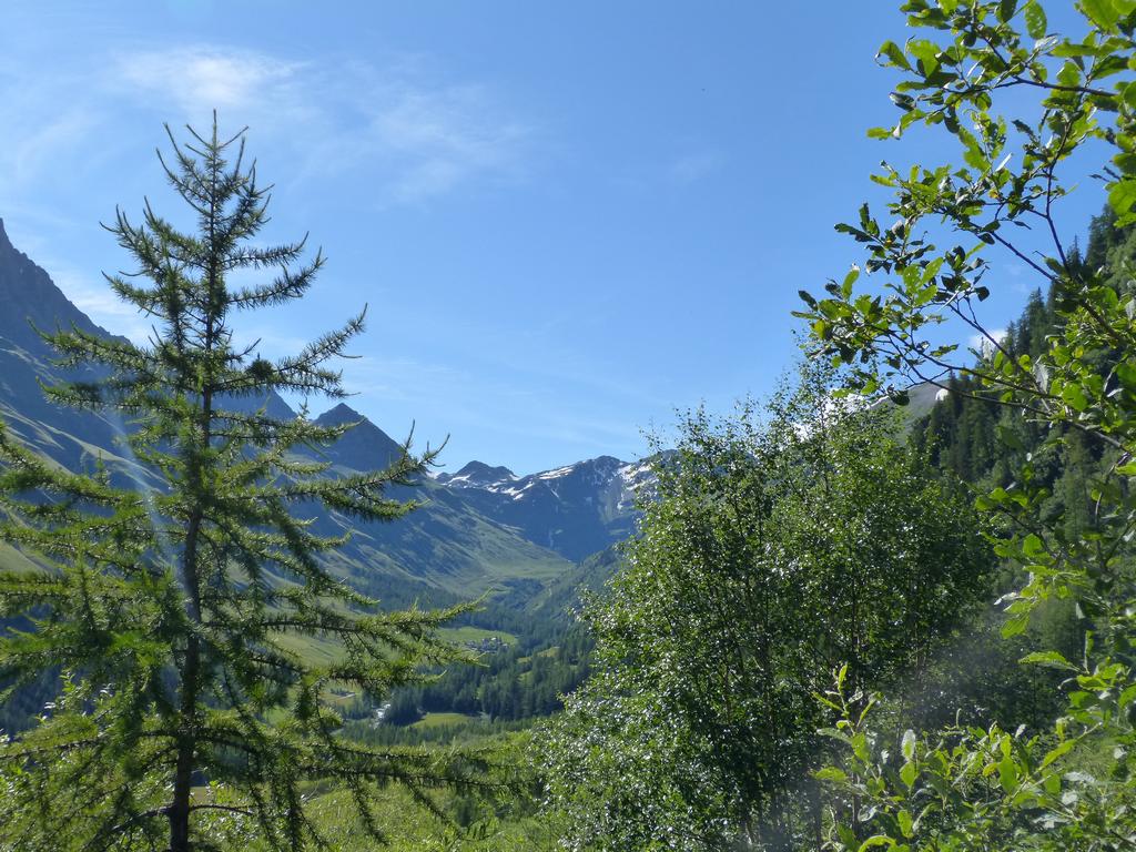 Click to see next picture