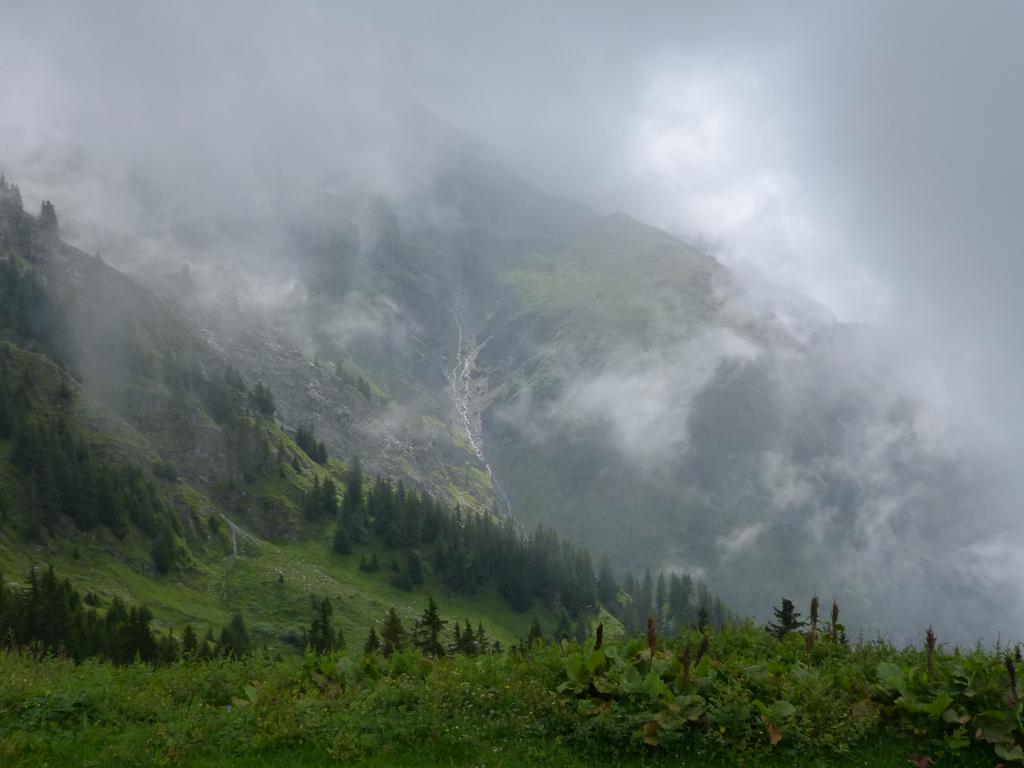 {Clic pour voir plus grand}