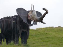 Click to see big picture (1024x768 pixels; 81 KB)