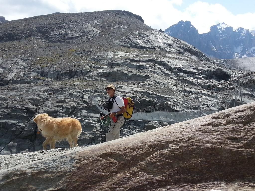 {Clic pour voir plus grand}