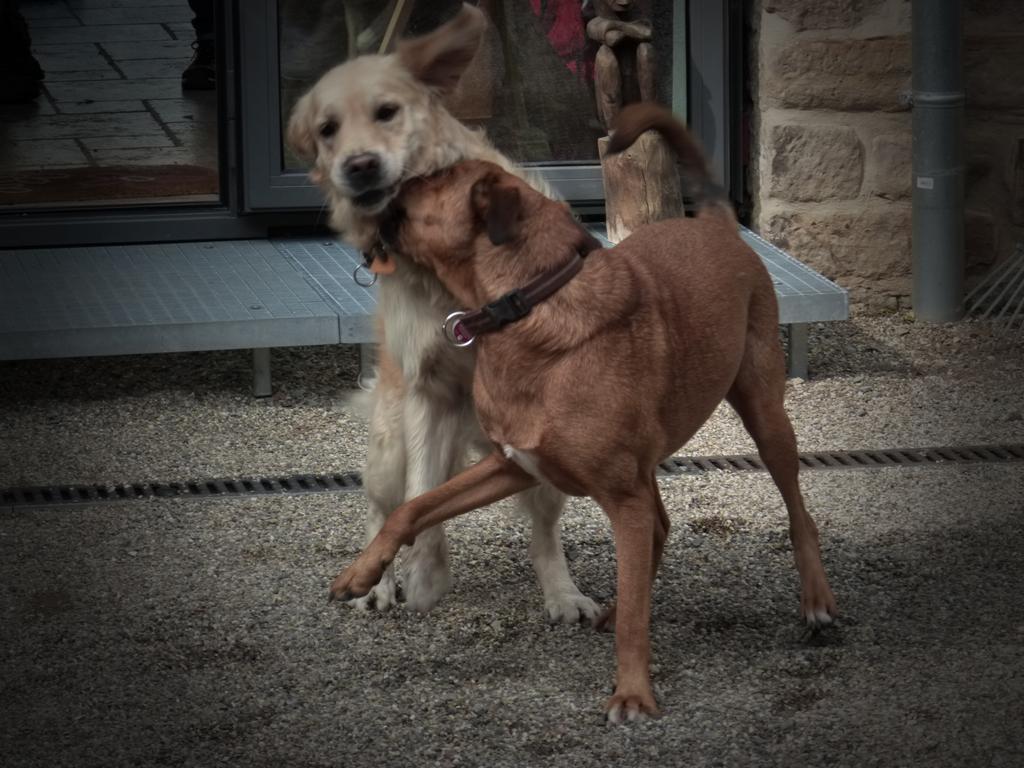 {Clic pour voir plus grand}