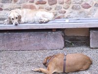 Click to see big picture (1024x768 pixels; 90 KB)