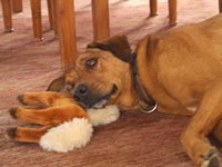 Click to see big picture (1024x768 pixels; 63 KB)